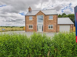 Front- click for photo gallery